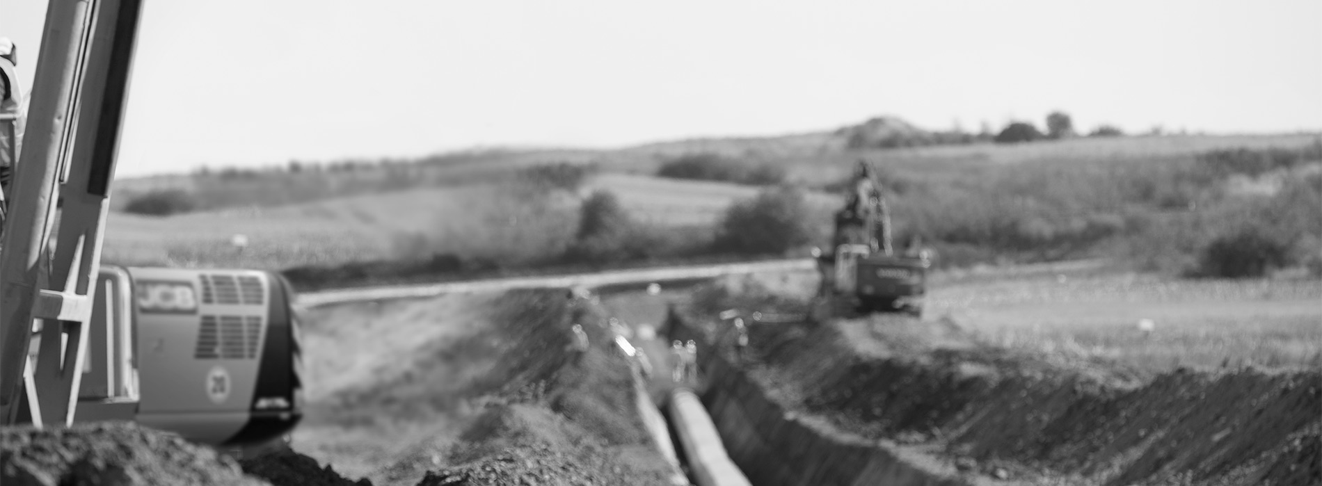 Transparent Background