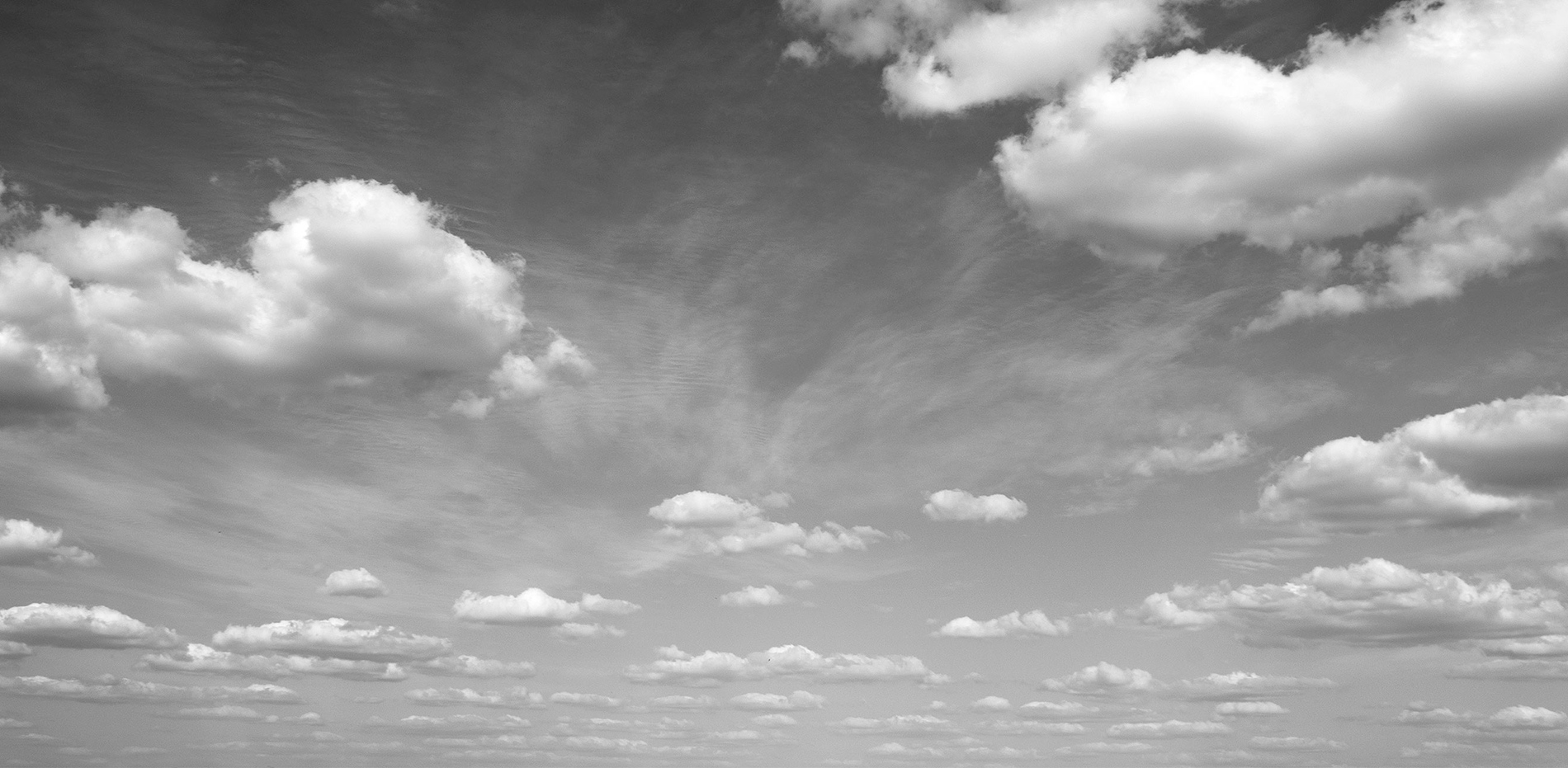 Transparent Background