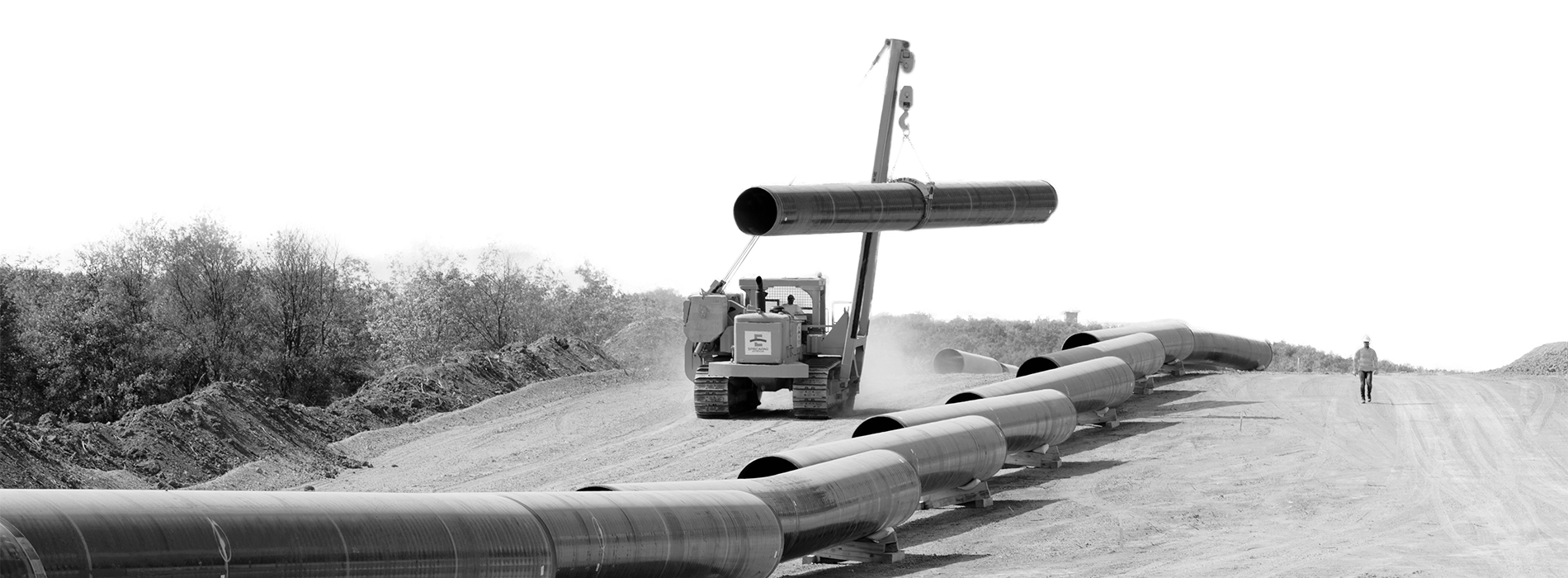 Transparent Background