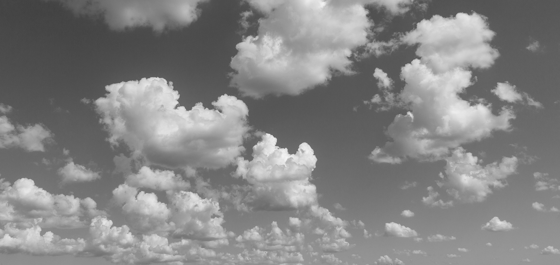 Transparent Background