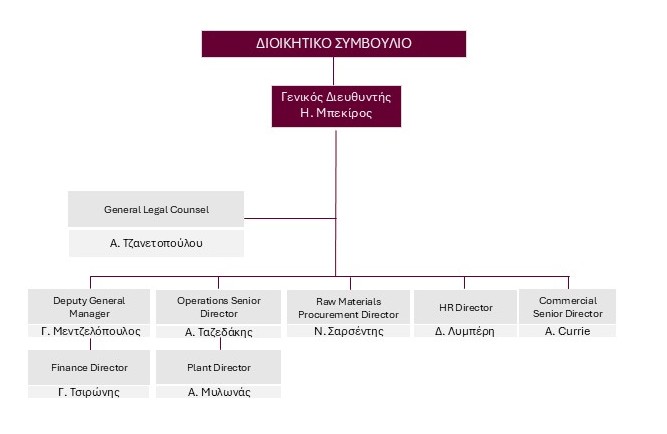 Δομή εταιρίας